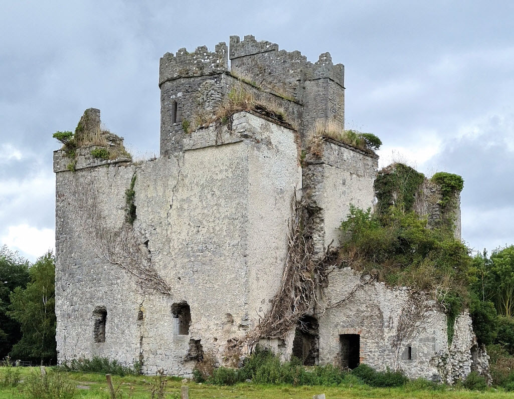 Castle Davis, Ireland
